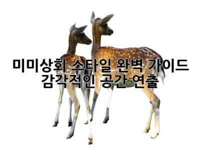 미미상회 스타일 완벽 가이드: 감각적인 공간 연출