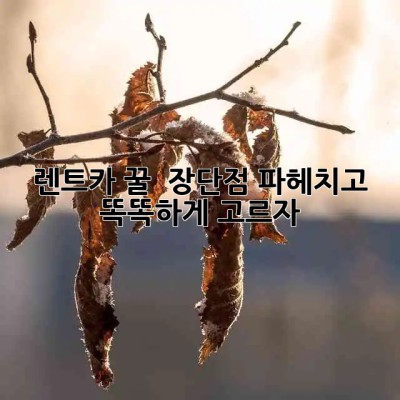 🚗 렌트카? 꿀? 🍯 장단점 파헤치고 똑똑하게 고르자! 😎