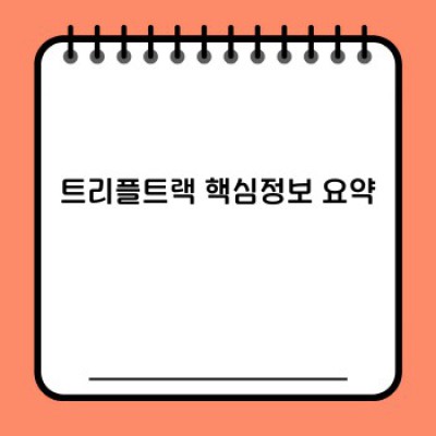 트리플트랙 완벽 가이드: 기능, 장점, 활용법 총정리