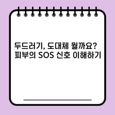 두드러기 완벽 가이드: 원인, 증상, 치료 및 예방법 총정리