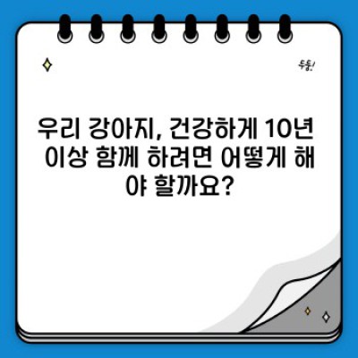 우리 강아지 건강하게 챙기는 완벽 가이드: 건강검진부터 예방까지