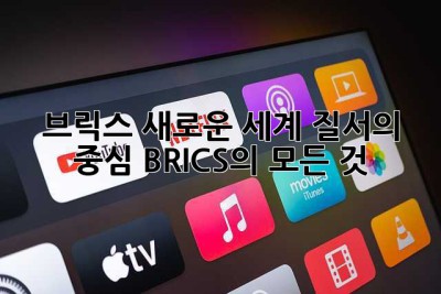 브릭스: 새로운 세계 질서의 중심, BRICS의 모든 것