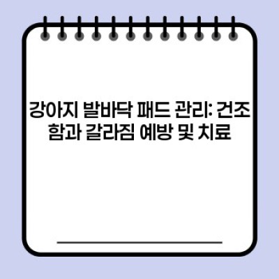 강아지 발 관리 완벽 가이드: 발톱 깎기부터 패드 관리까지! 건강한 발, 행복한 댕댕이!