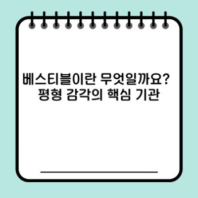 베스티블, 흔히 듣는 단어지만 정말 알고 계신가요? 최신 정보와 논란 정리