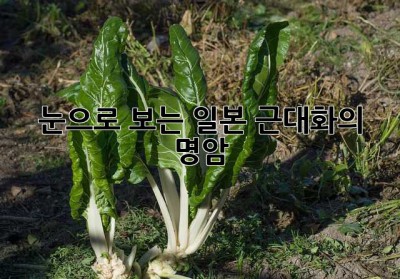 눈으로 보는 일본 근대화의 명암