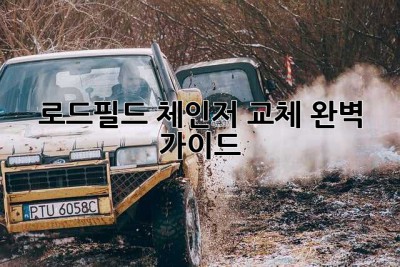 로드필드 체인저 교체 완벽 가이드