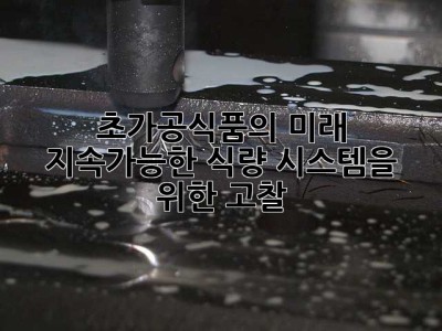 초가공식품의 미래: 지속가능한 식량 시스템을 위한 고찰
