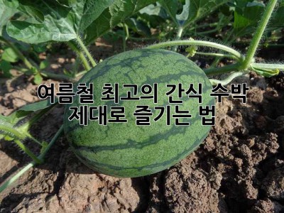 여름철 최고의 간식, 수박 제대로 즐기는 법!
