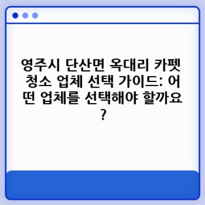 카펫 청소, 영주시 단산면 옥대리에서 완벽하게 해결하는 방법: 비용, 업체, 방법 비교분석