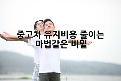 중고차 유지비용 줄이는 마법같은 비밀!