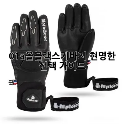 01a올블랙스키바지, 현명한 선택 가이드