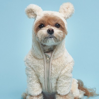 댕댕이 천국! 강아지꿀벌 꿀팁 대방출🍯🐶