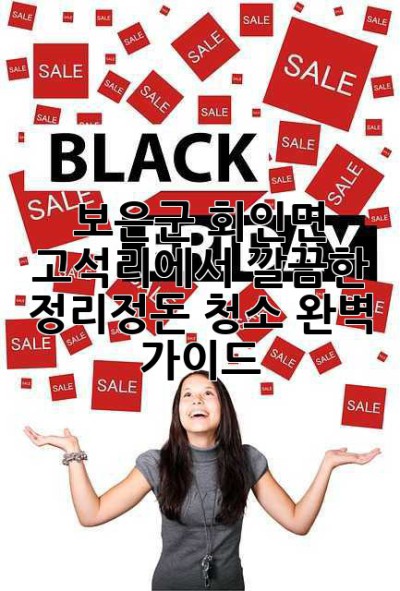 보은군 회인면 고석리에서 깔끔한 정리정돈, 청소 완벽 가이드!