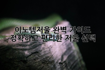 이노템저울 완벽 가이드: 정확하고 편리한 저울 선택
