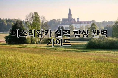 데스리앙카 실력 향상 완벽 가이드
