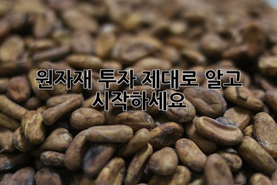 원자재 투자, 제대로 알고 시작하세요!