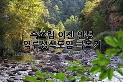 😫 속쓰림, 이젠 안녕! 역류성식도염 극복기 🌿