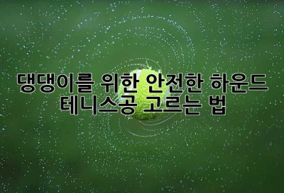 댕댕이를 위한 안전한 하운드 테니스공 고르는 법🐶