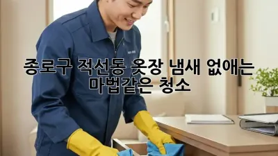 종로구 적선동 옷장 냄새 없애는 마법같은 청소!
