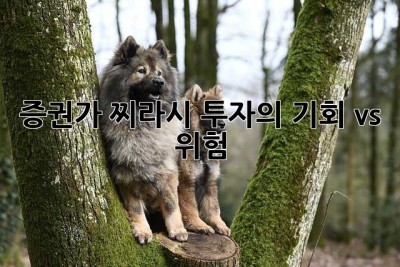 증권가 찌라시: 투자의 기회 vs. 위험
