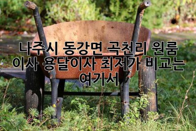 나주시 동강면 곡천리 원룸 이사, 용달이사 최저가 비교는 여기서!