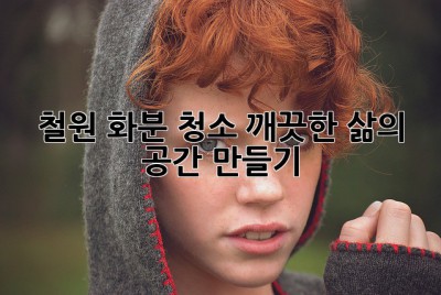 철원 화분 청소: 깨끗한 삶의 공간 만들기