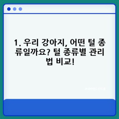 강아지 털 관리 완벽 가이드: 털 빠짐, 엉킴, 피부병 예방까지!