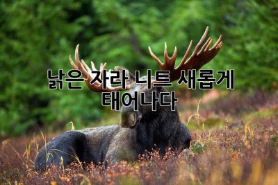 낡은 자라 니트, 새롭게 태어나다!
